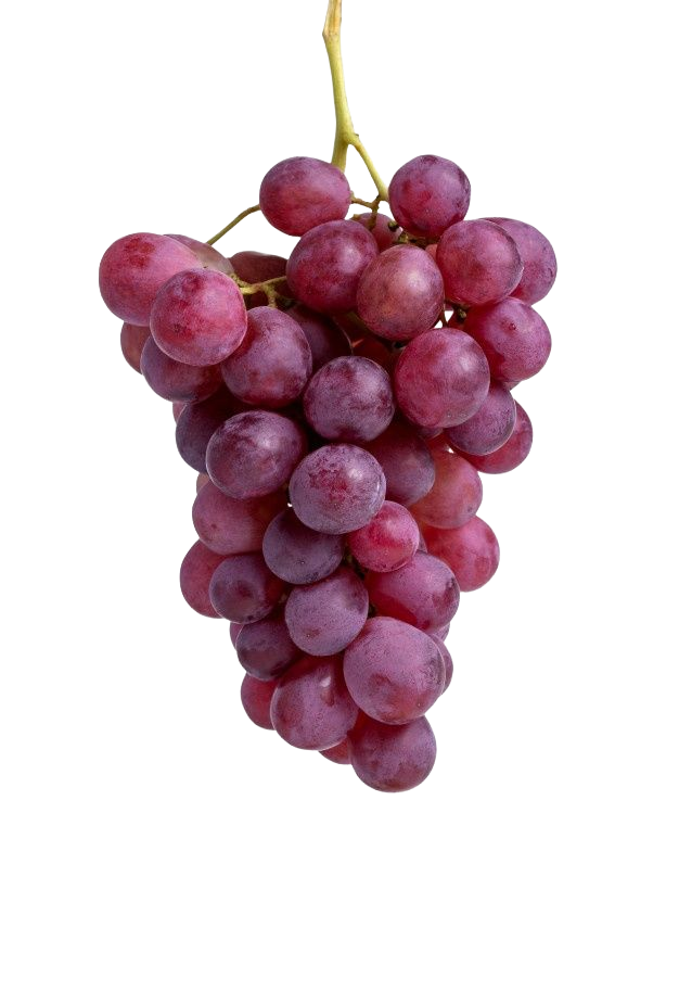 Fresh red seedless grapes from Egypt