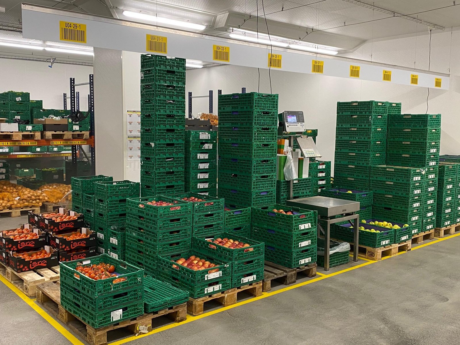 Modern fresh produce warehouse with fruits and vegetables