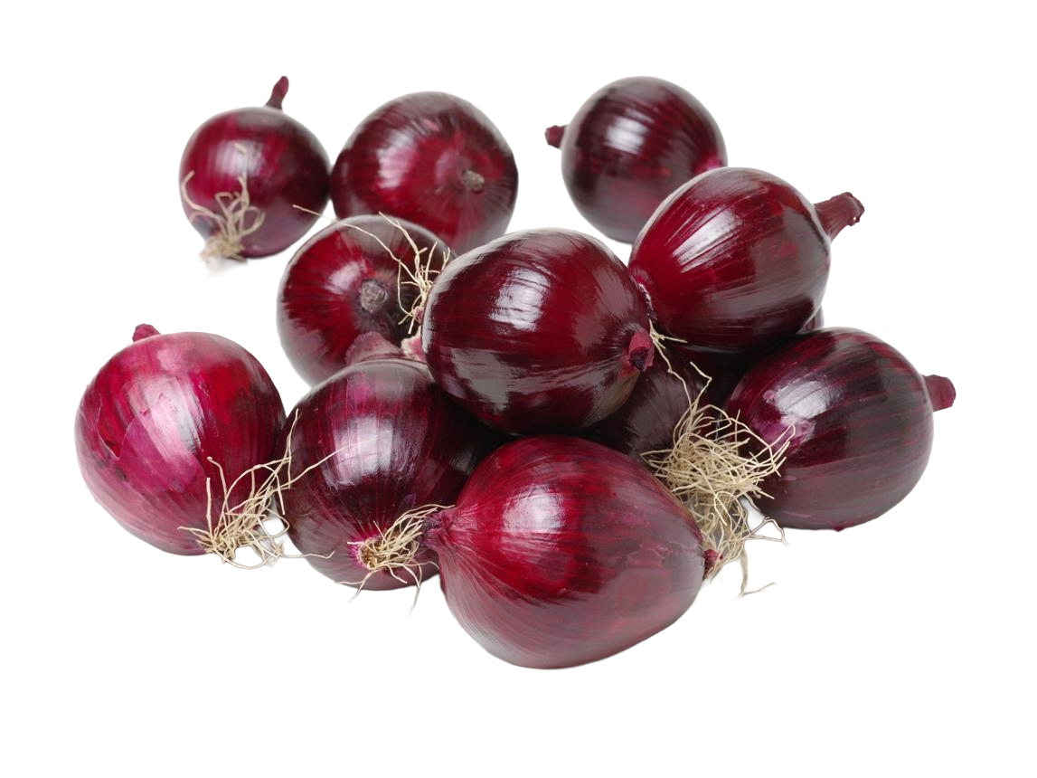 Premium quality onions from Egypt