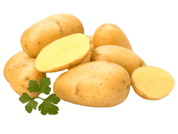 Premium potatoes from Egypt and Morocco